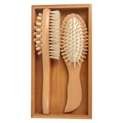Набор подарочный щётка-массажёр с щетиной, расчёска, KZ 0954
